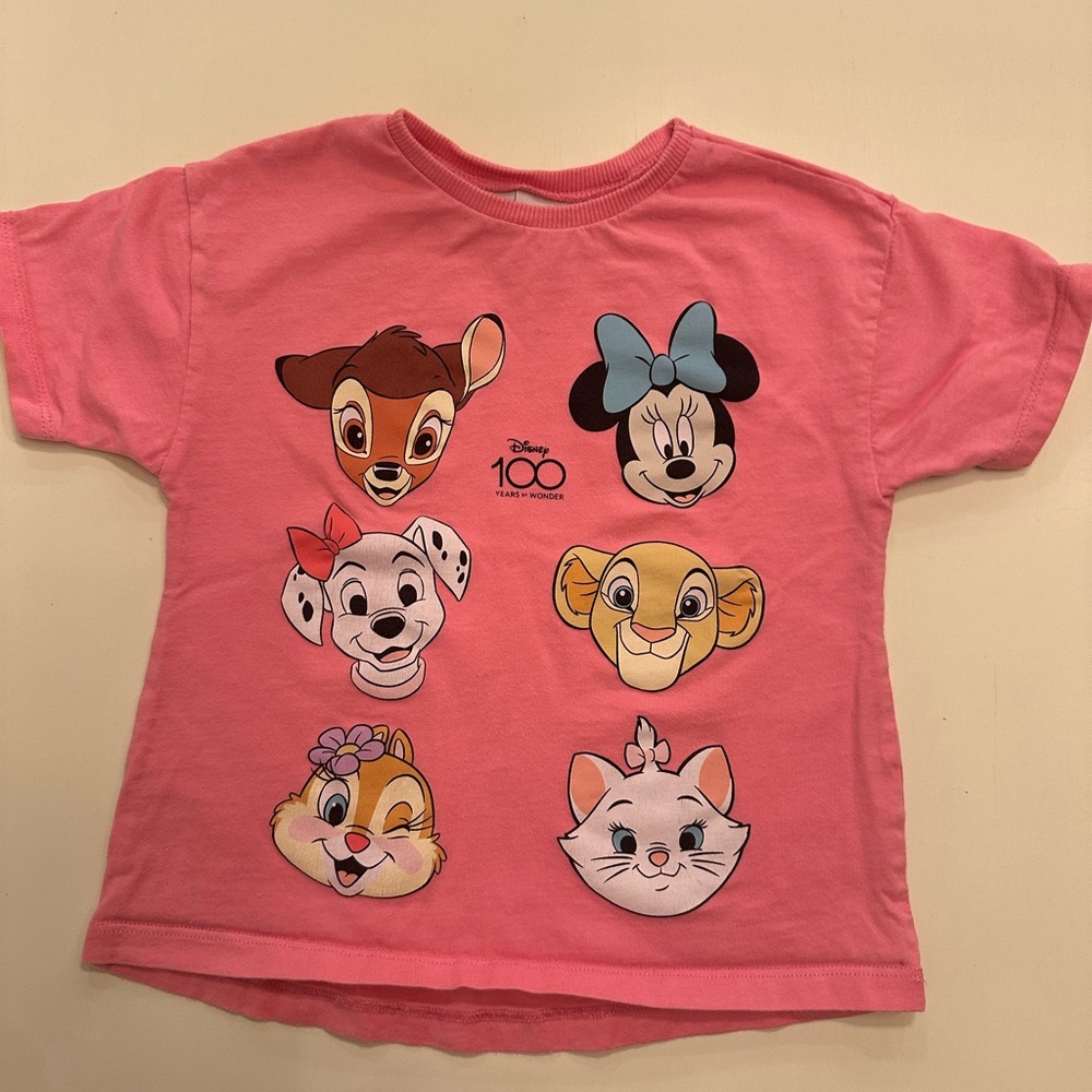 Disney character Zara Pink Special Edition Shirt Girl size 3-4.